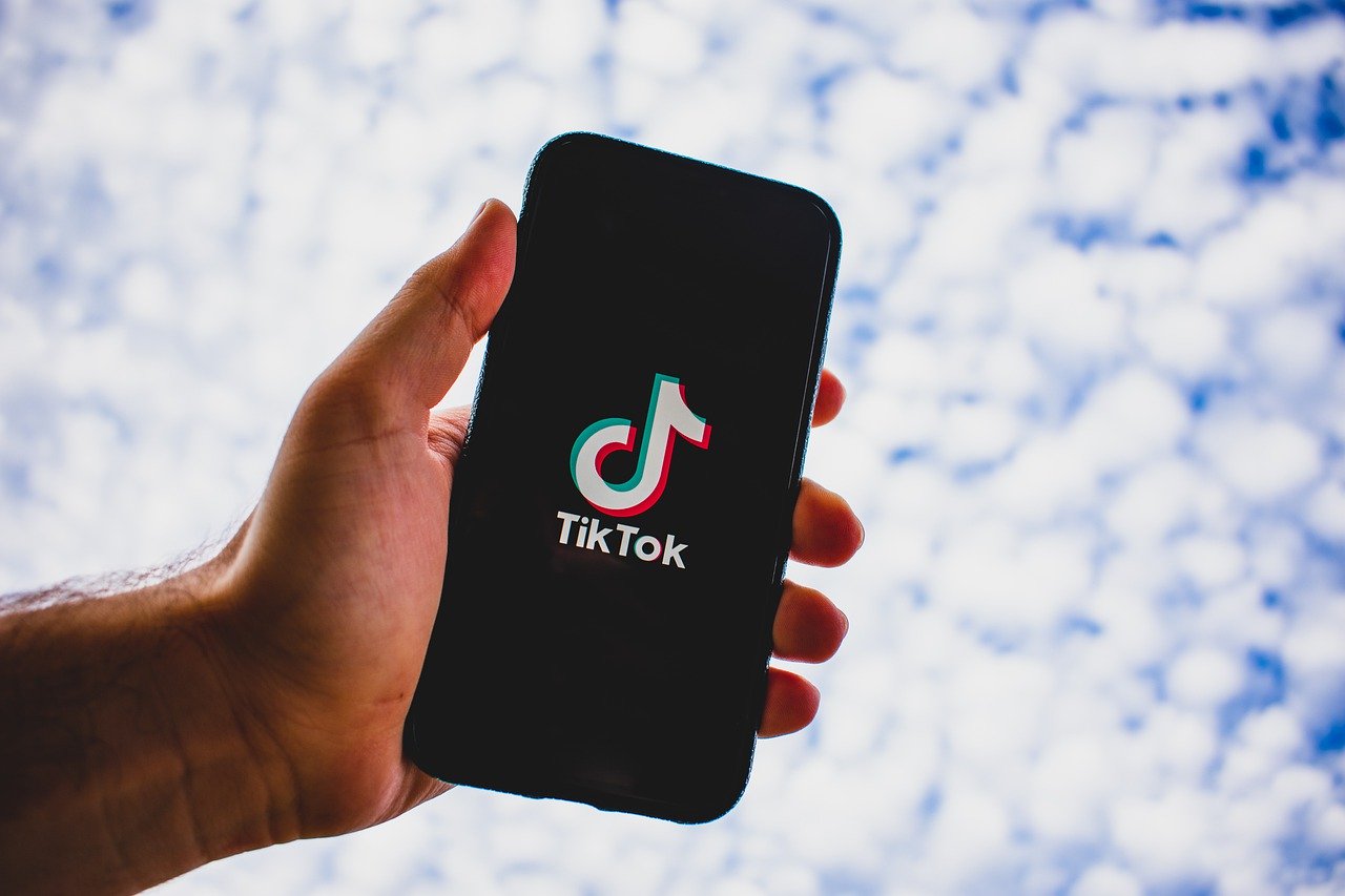 TikTok Banned in India: How to Download All Your Videos from the App