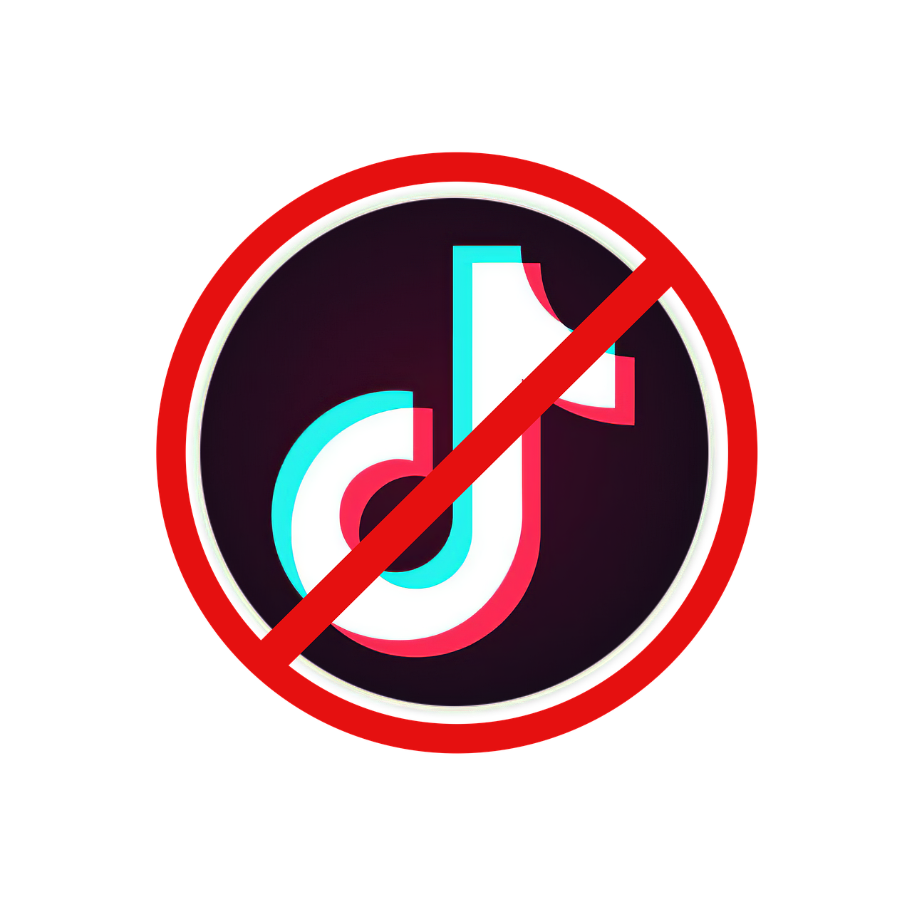 TikTok Banned in India: How to Download All Your Videos from the App