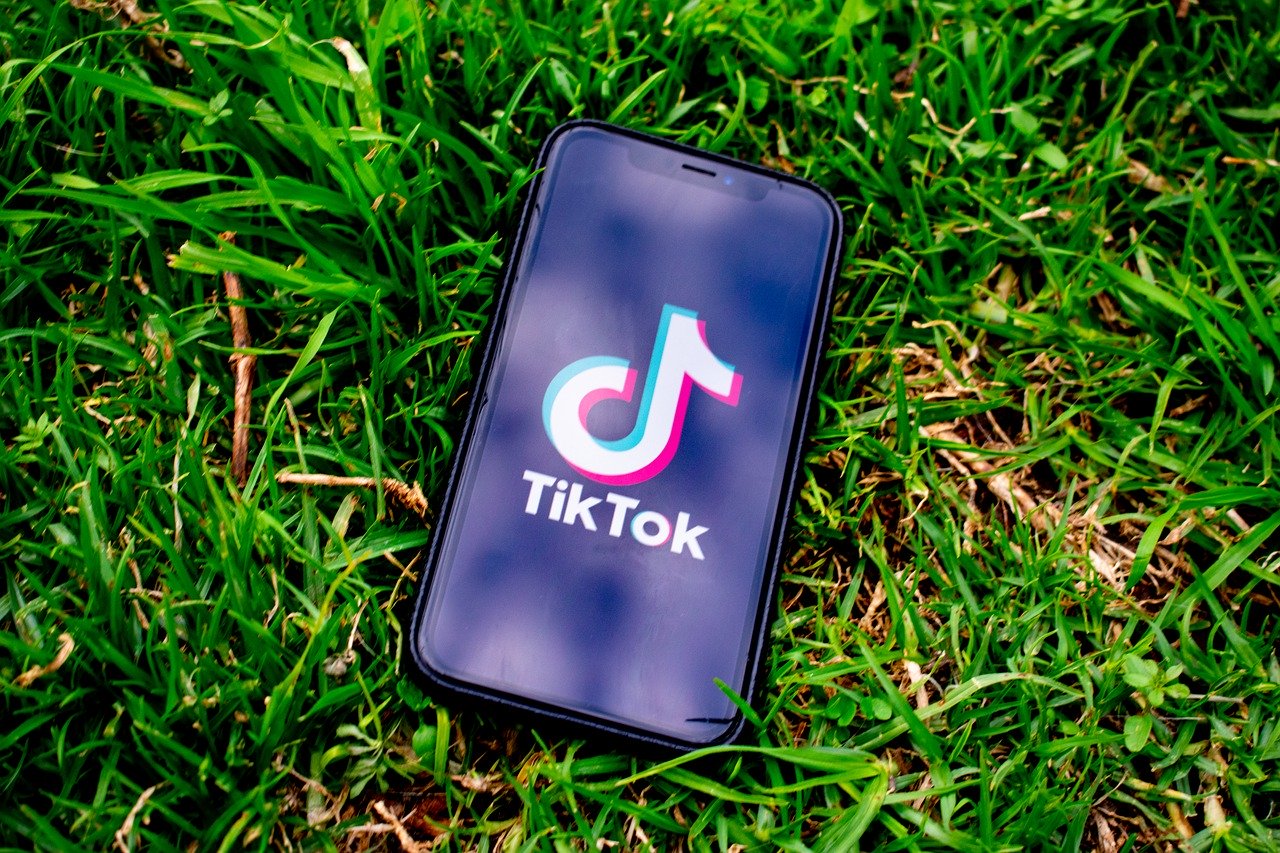 SSSTikTok: How to Download a TikTok Video without the App